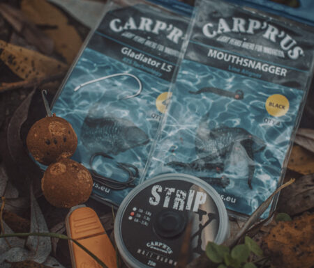 banner-carprus